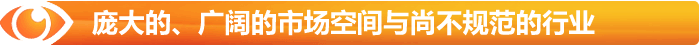 無(wú)與倫比的廣闊市場(chǎng)空間與尚不規(guī)范的行業(yè)