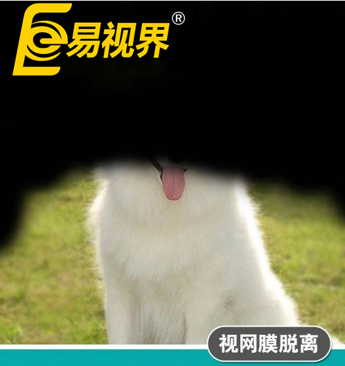 不一樣的眼病，不一
                </div>
                <div   id=