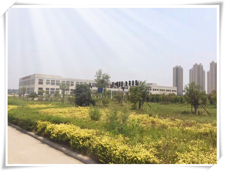 環(huán)境優(yōu)美的易視界生產基地
