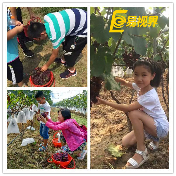 八月親子游活動  易視界和您相約古滎