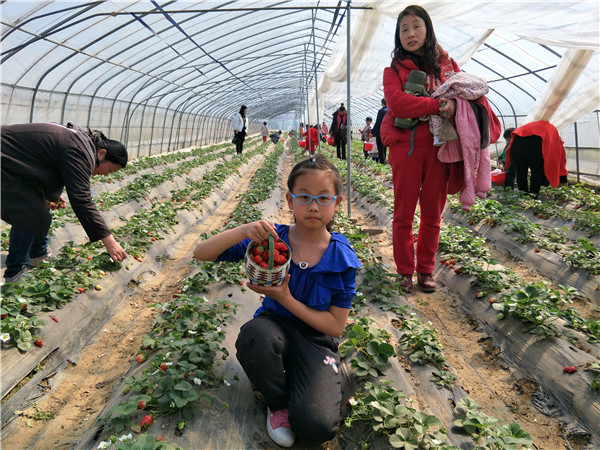 易視界小客戶開心的展示自己摘的草莓
