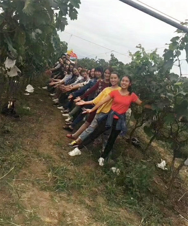 易視界精英們開(kāi)心合影