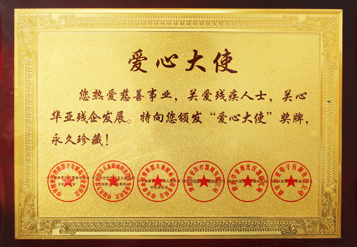 易視界榮獲愛心大使的榮稱