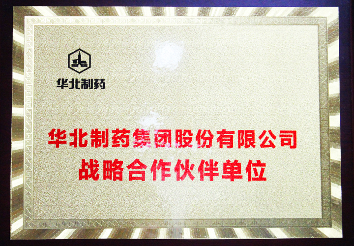 易視界-華北制藥集團股份有限公司戰(zhàn)略合作伙伴單位